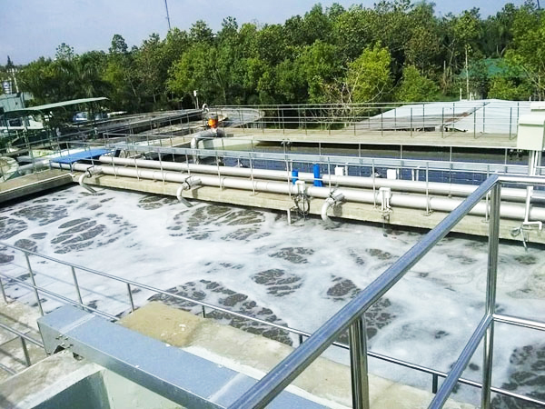 Tư vấn đấu thầu, quản lý dự án, giám sát